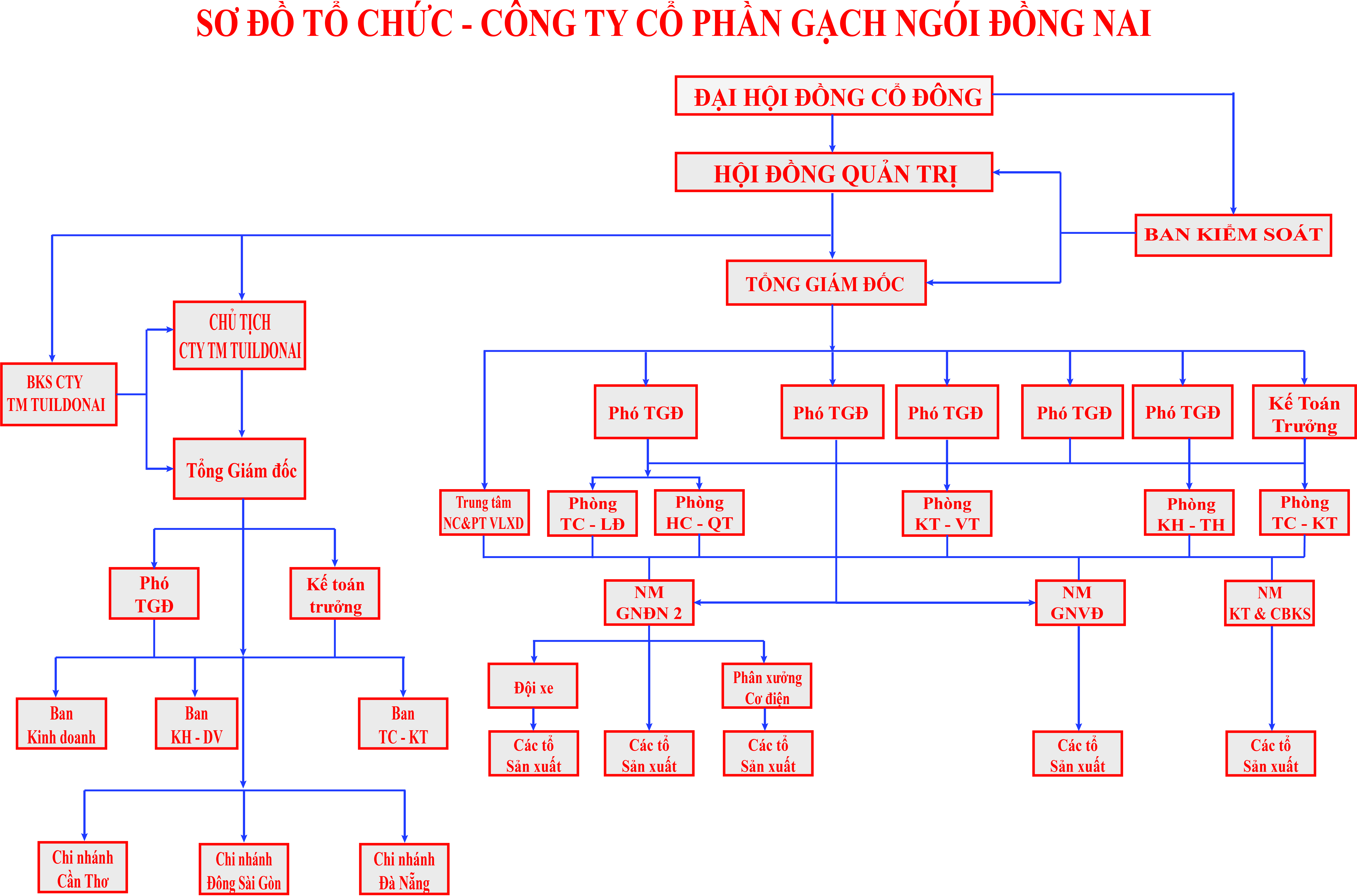 so-do-to-chuc-dang-su-dung-2024-anh-tin.jpg
